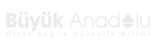 Büyük Anadolu